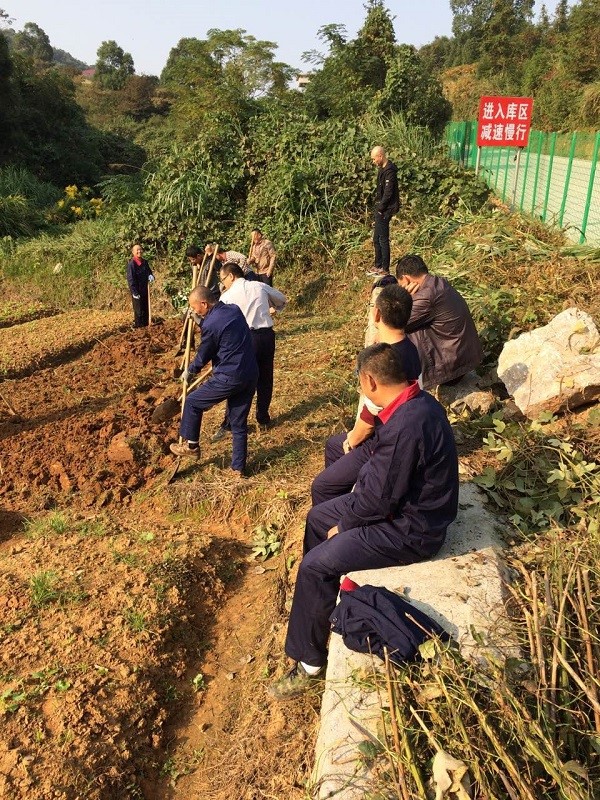 自耕自種，豐富職工業(yè)余生活